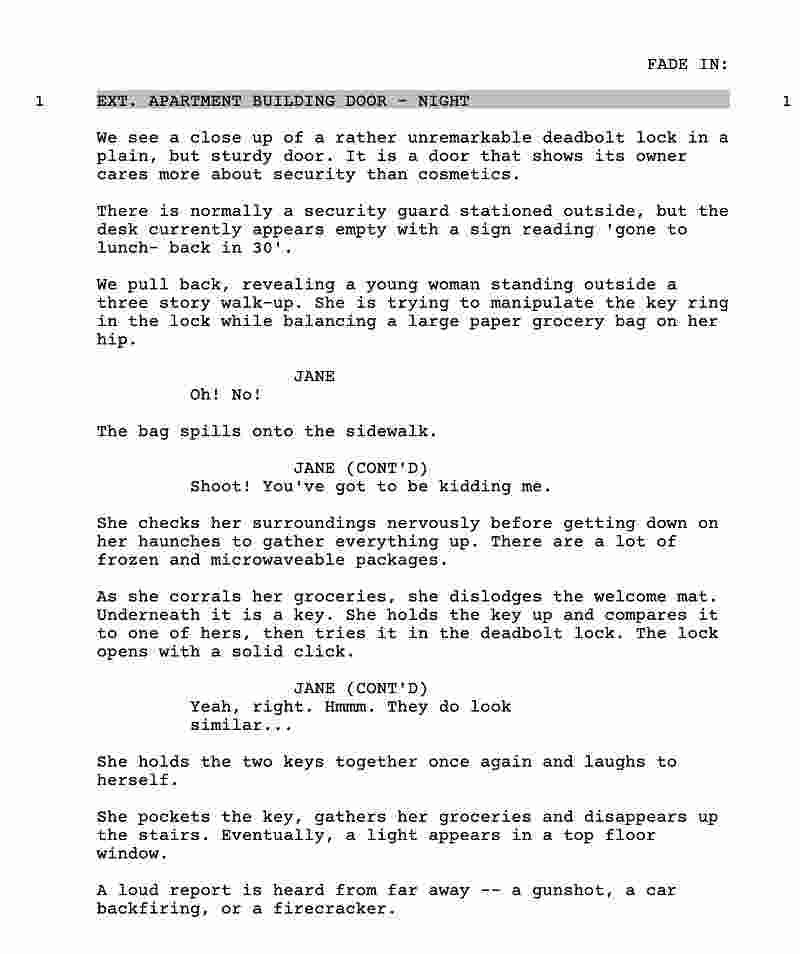 Writing A Winning Screenplay: The Ultimate Guide To Success - Image of Screenplay Format - https://wakacast.com